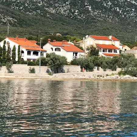 House Brzovic