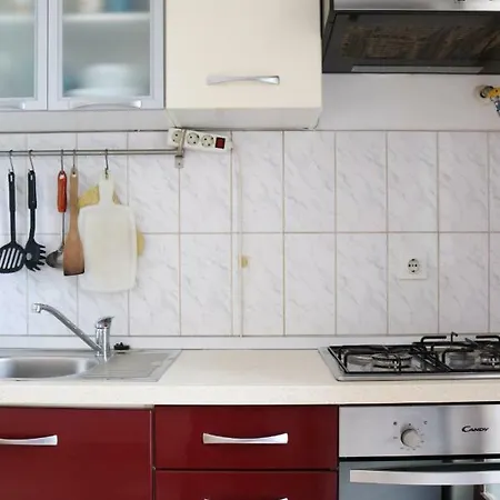 Apartment House Brzovic *