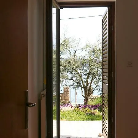 House Brzovic *