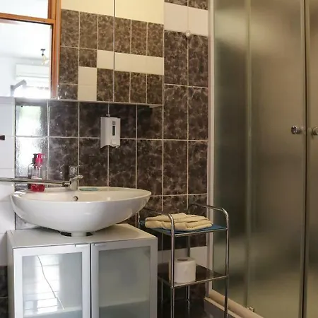 House Brzovic Apartment *