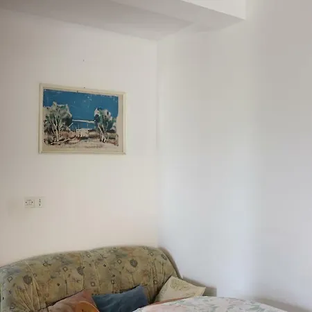 House Brzovic Apartment