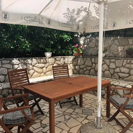 House Brzovic
