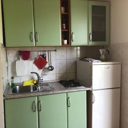 House Brzovic Apartment *