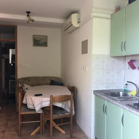 Apartment House Brzovic *