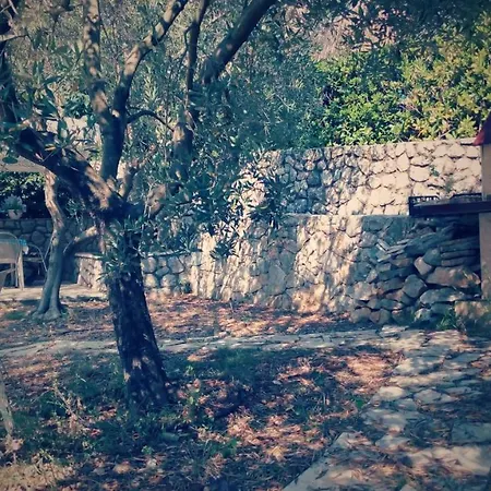 House Brzovic *