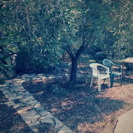 House Brzovic *