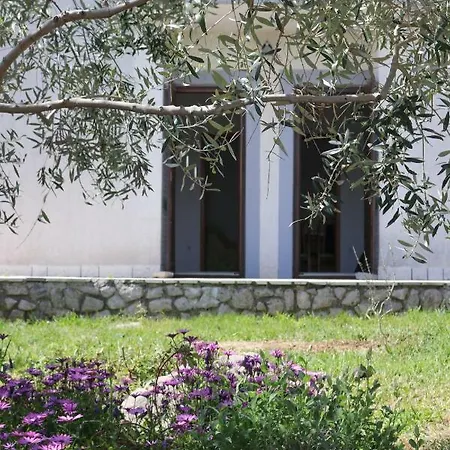 House Brzovic *